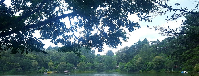 Parque Laguna de Fraijanes is one of Parques Recreativos.