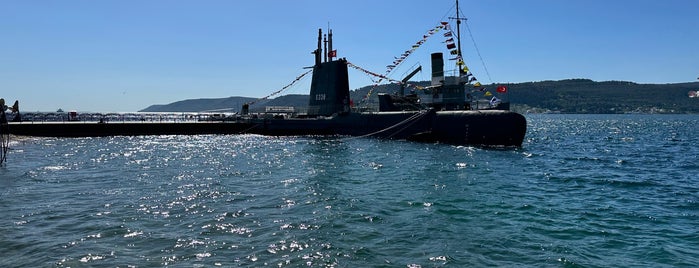 Nusret Mayın Gemisi is one of Çanakkale 2019.