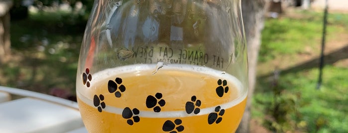 Fat Orange Cat Brew Co. is one of Lugares favoritos de Jackie.