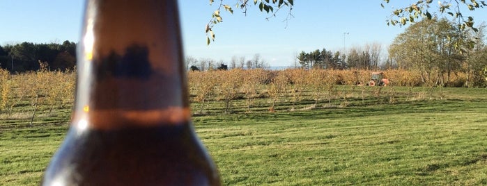 BlackBird Cider Works is one of winery / brewery.