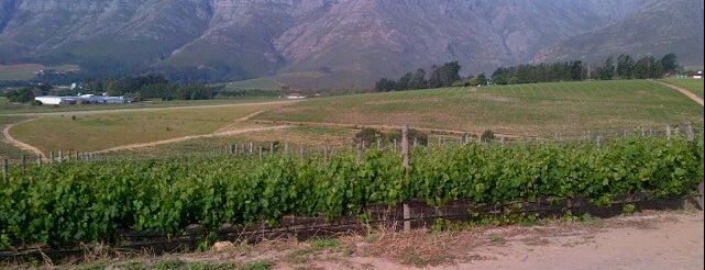 Dombeya is one of Wine Farms open on Sunday.