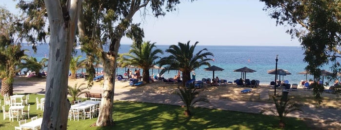 Beach Porto Carras is one of 2-4 Family Greece.