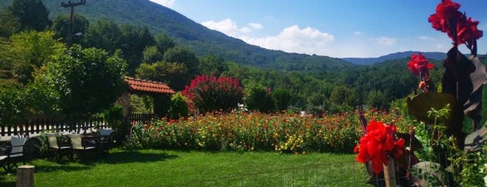 Χασαποταβερνα Μπαμπης is one of Chionia.