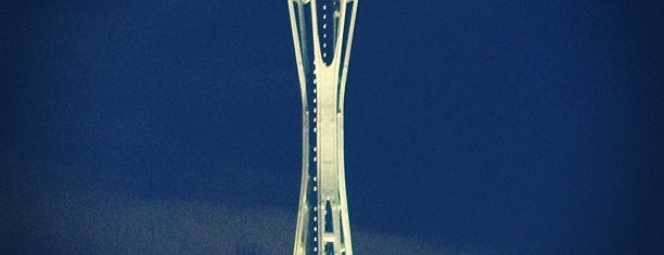 Space Needle is one of Seattle ❤ Winter Holiday 2013.