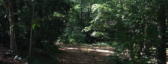 Morningside Nature Trail is one of Tempat yang Disukai Chester.