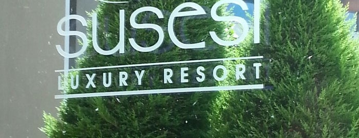 Susesi Luxury Resort is one of отели в турции.