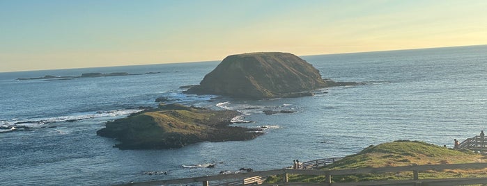 The Nobbies is one of Phillip island.