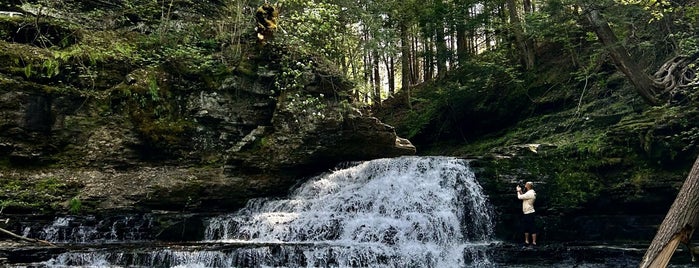 Salt Springs State Park is one of Pennsylvania - 1.