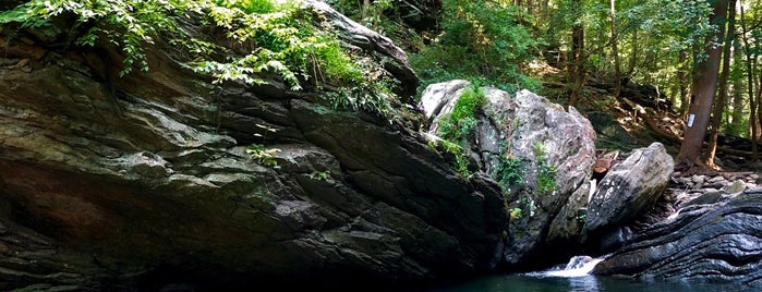 Devil's Pool, Wissahickon Creek is one of fun kids.