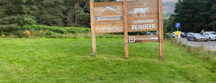 Cairngorm Reindeer Centre is one of Scotland.