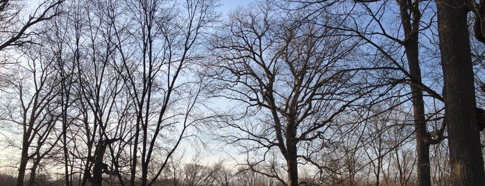 Silver Springs State Park is one of Parks.