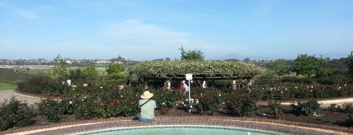 Inez Grant Parker Memorial Rose Garden is one of To do: San Diego.