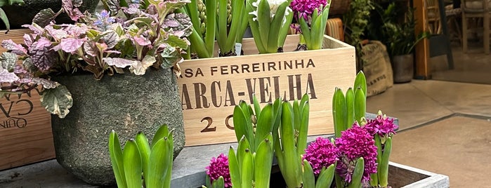 Terrárea is one of Matosinhos e Leça.