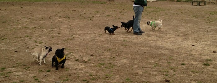 Loch Haven Dog Park is one of Tempat yang Disukai Sara Grace.