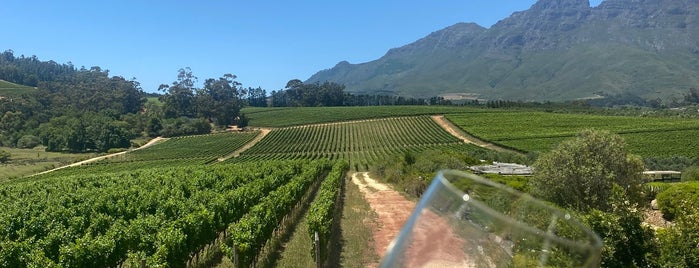 Glenelly Estate is one of Vineyards.