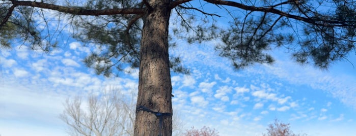 Freedom Park is one of Atlanta.