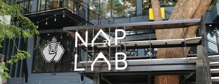 NapLab is one of Working.