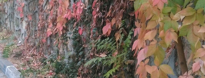 Gönen Tarla Pınarı is one of Lieux qui ont plu à Selçuk.