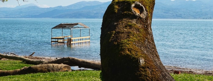 Κτήμα Πυθάρι Lake Living is one of สถานที่ที่บันทึกไว้ของ Spiridoula.