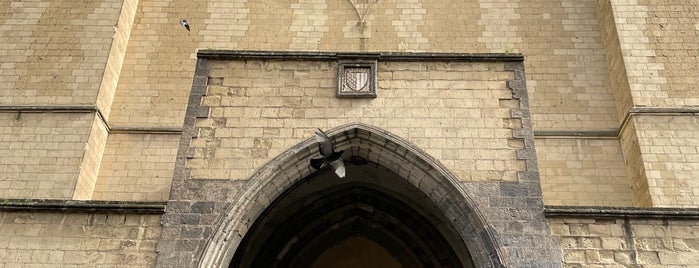 Basilica di Santa Chiara is one of สถานที่ที่บันทึกไว้ของ gibutino.