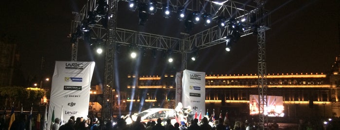 WRC FIA WORLD RALLY CHAMPIONSHIP MÉXICO is one of Mauricio : понравившиеся места.