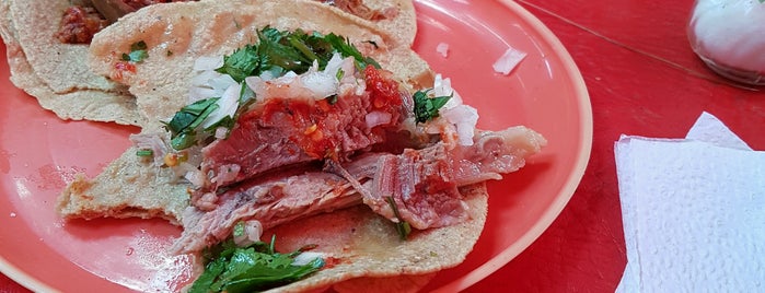 Barbacoa El Compadre is one of Vanessa : понравившиеся места.