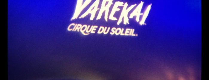 Cirque Du Soleil Varekai is one of Por Hacer.