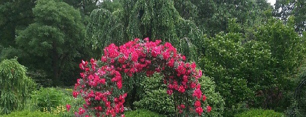Cleveland Botanical Garden is one of Locais salvos de Lizzie.