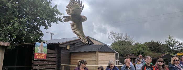 Screech Owl Sanctuary is one of Trip JULY 2018.