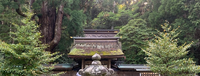 若狭姫神社（若狭彦神社下社） is one of 別表神社 東日本.