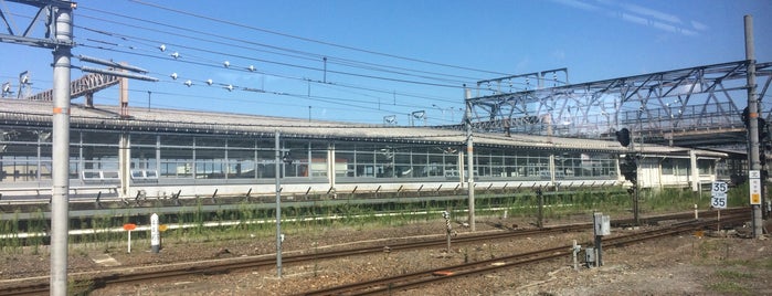 JR Maibara Station is one of 西日本の貨物取扱駅.