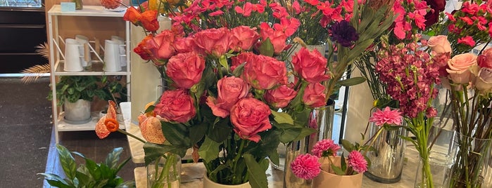 Rose Hip Floral is one of The 15 Best Places for Bouquets in Brooklyn.