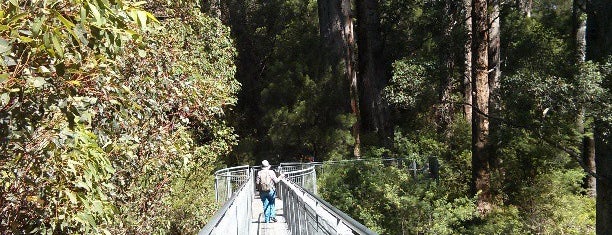 Valley Of The Giants Tree Top Walk is one of Posti che sono piaciuti a Christopher.