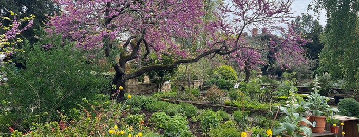 Chelsea Physic Garden is one of London.