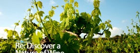 OIV - Organisation Internationale de la Vigne et du Vin is one of Wine Cyprus Hours.