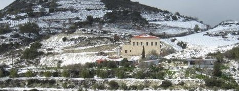 Ktima Gerolemo Winery is one of Cyprus Wineries.