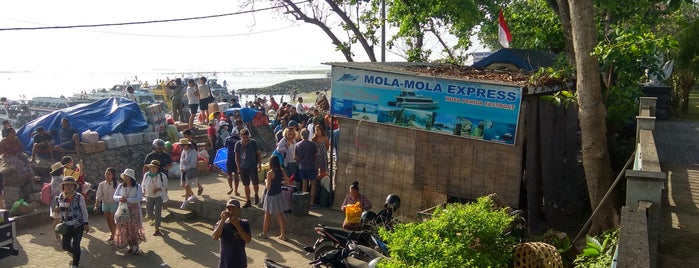Mola Mola Express is one of tiket fastbot.