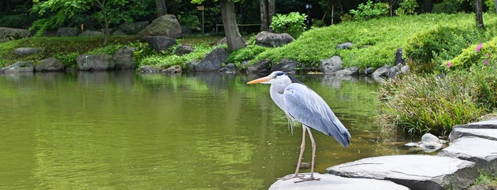 Kiyosumi Gardens is one of Tokyo.