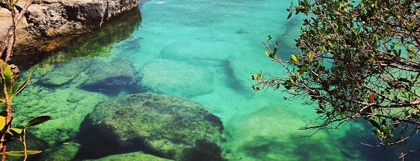 Laguna  y Cenote Yal-Ku is one of Tempat yang Disimpan Mario.