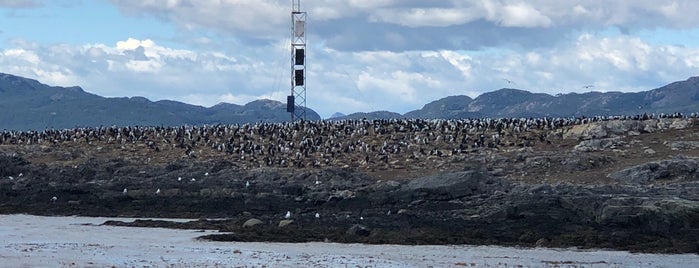 Isla de los Cormoranes is one of Patagonia.