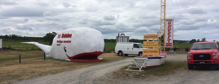 La Baleine is one of Lugares favoritos de Stéphan.