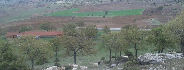 Seyitgazi, Örencik is one of สถานที่ที่ Dr.Gökhan ถูกใจ.