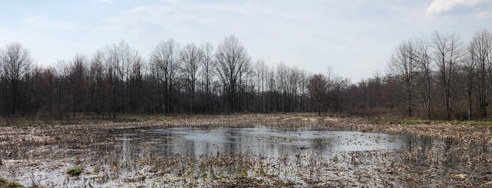 Great Swamp - Wilderness Area is one of สถานที่ที่ Lizzie ถูกใจ.