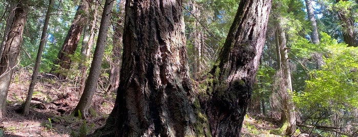 Moran State Park is one of Lugares guardados de Nick.