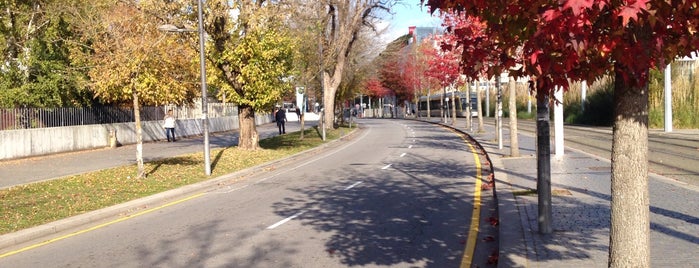 Campus S. João is one of Porto.