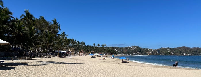 Las Sirenas Beach Club is one of Sayulita.