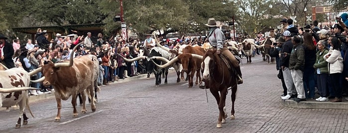 Stockyard Cattle Drive is one of family fun.