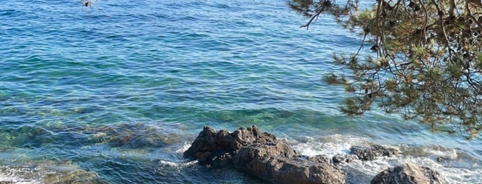 Momo Beach is one of Croatia.