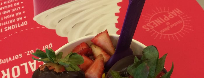 Menchie's Frozen Yogurt is one of adventures.