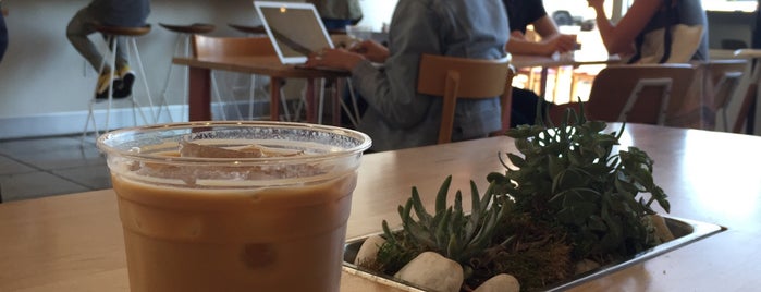 Dinosaur Coffee is one of Orte, die Thirsty gefallen.